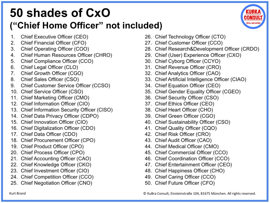 2020-08-11_KuBra Consult - 50 Shades of CxO